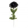 Black Rose