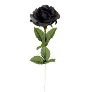 Black Rose