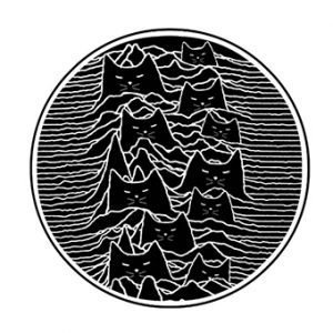 Meow Division - Sticker