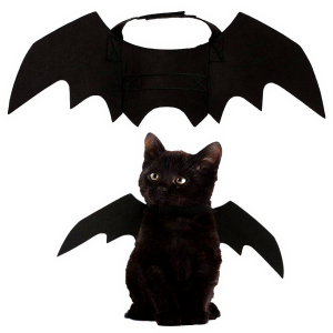 Batcat - Wings