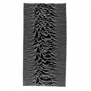 joy division