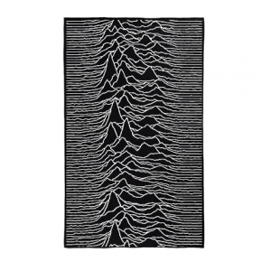 joy division